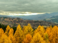 Muszyna, Malnik